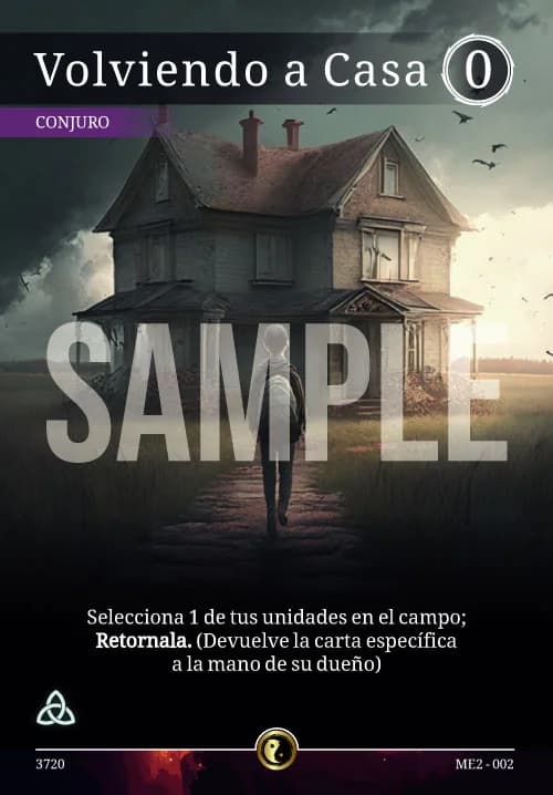 Volviendo a Casa Volviendo a Casa